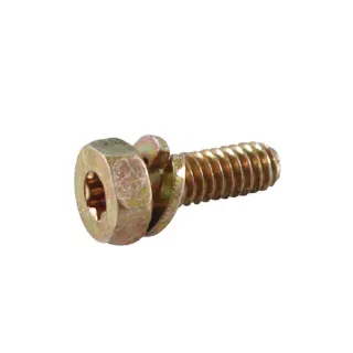 Bolt  691681 Briggs & Stratton