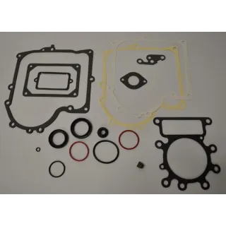 Blīvju komplekts 691580 Briggs & Stratton