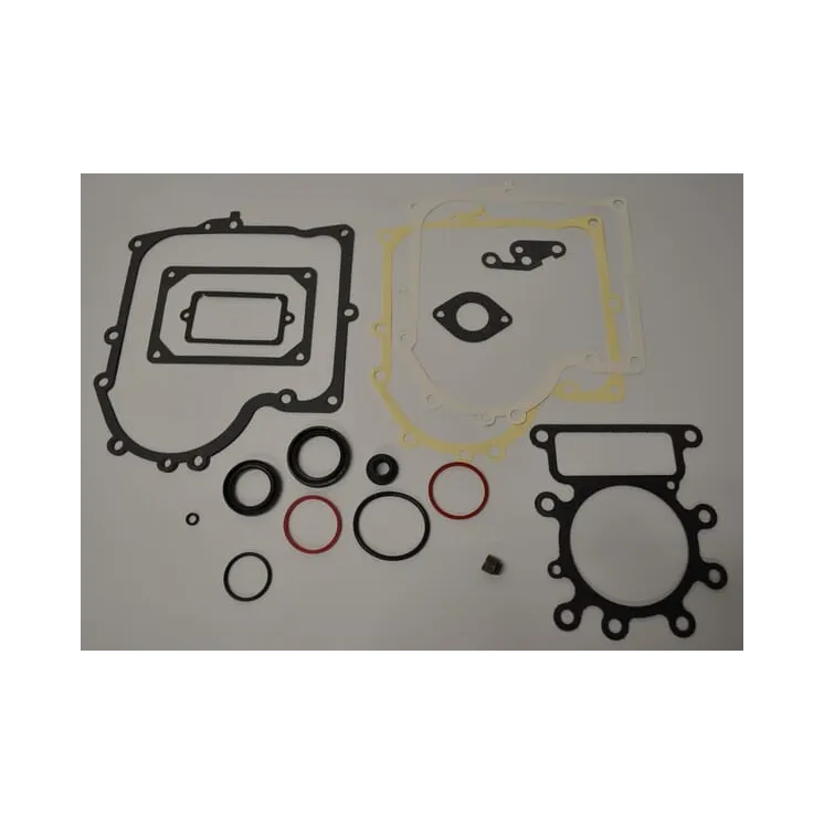 Blīvju komplekts 691580 Briggs & Stratton