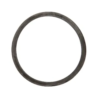 O veida gredzens 692514 Briggs & Stratton