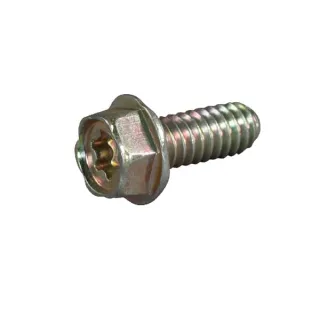 Skrūve 690810 Briggs & Stratton