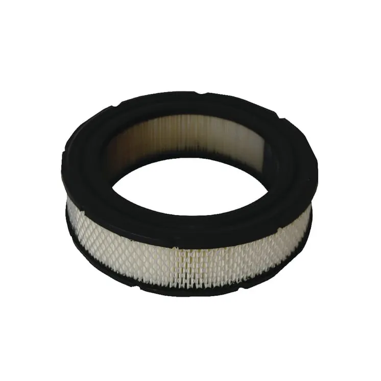 Gaisa filtrs (4232) 692519 Briggs & Stratton