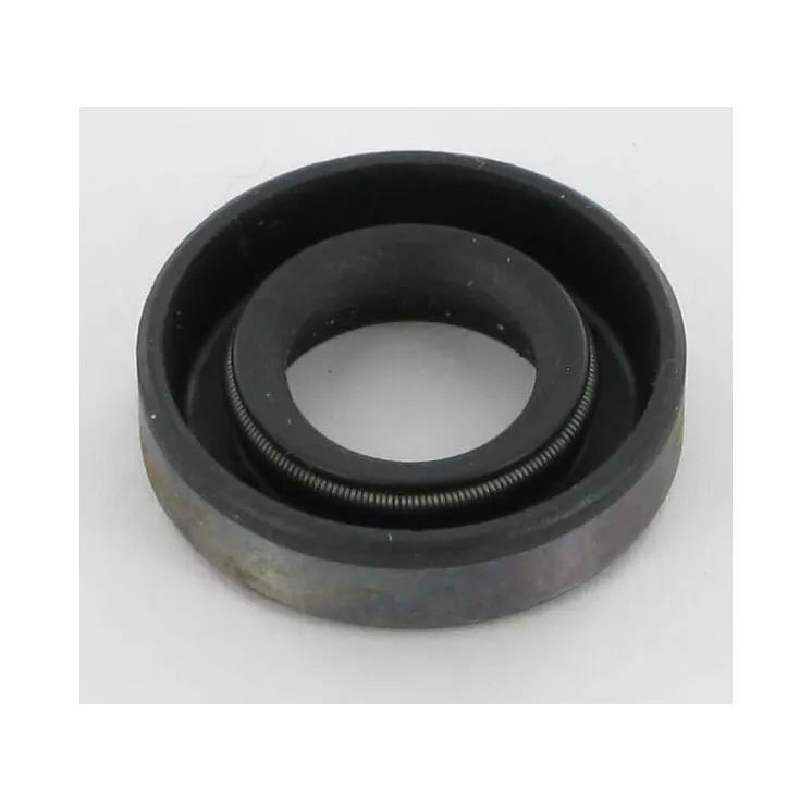 Oil seal  691952 Briggs & Stratton