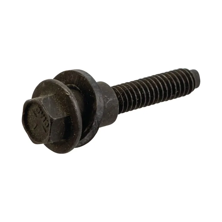 Paplāksnes komplekts 696293 Briggs & Stratton