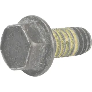 Screw  693399 Briggs & Stratton