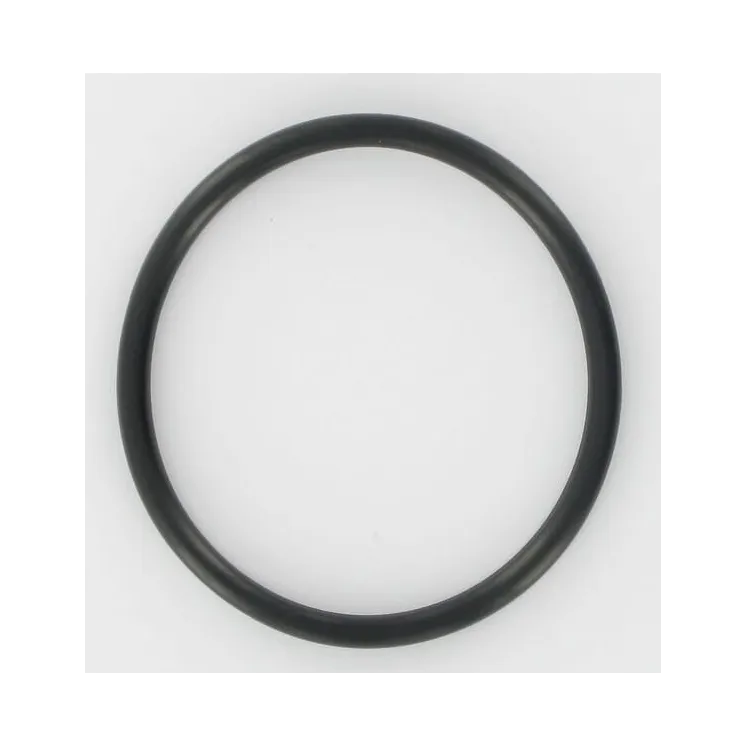 O veida gredzens 690589 Briggs & Stratton