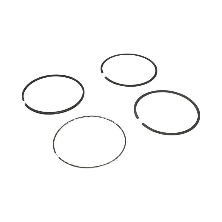 Ring Set Standard  694004 Briggs & Stratton