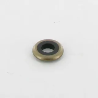 Seal  691766 Briggs & Stratton