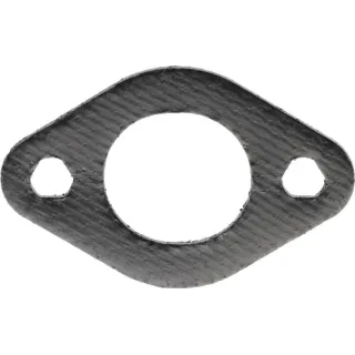 Blīve 695398 Briggs & Stratton