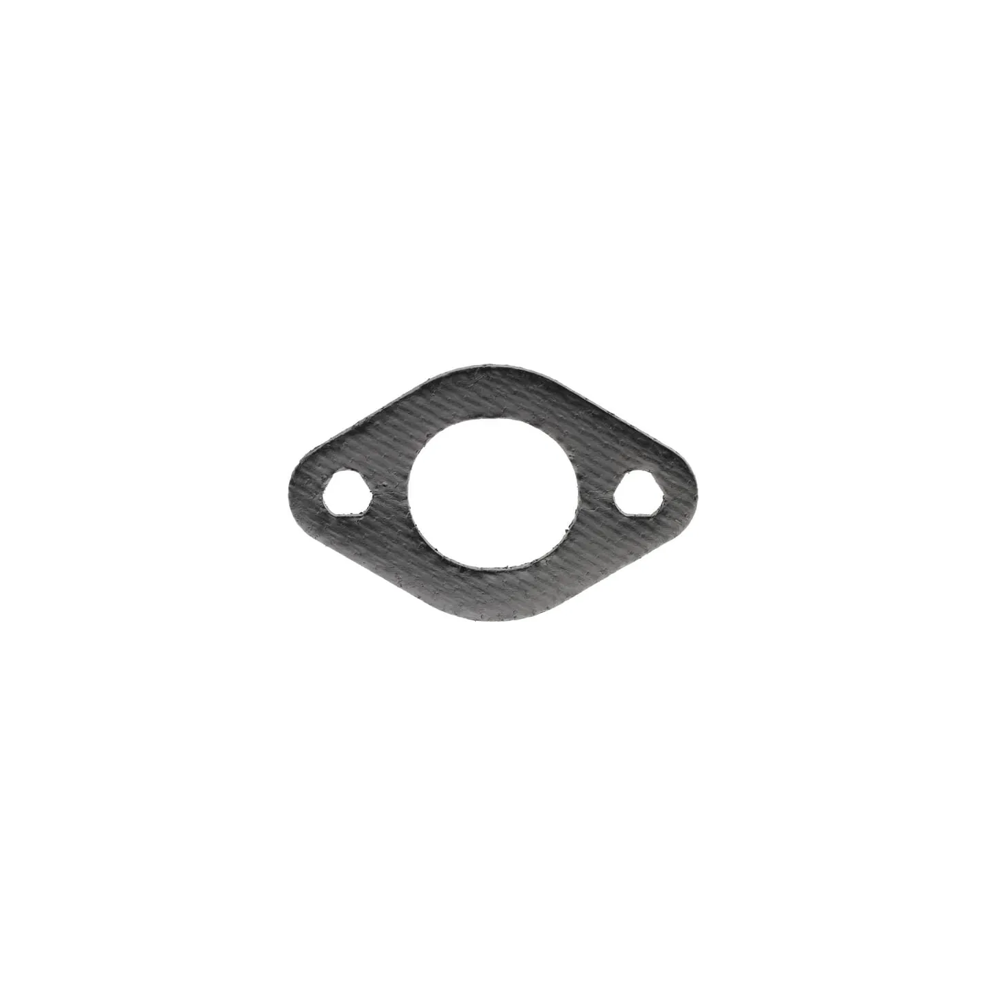 Blīve 695398 Briggs & Stratton
