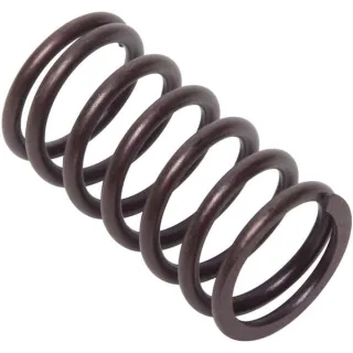 Vārsta atspere 692084 Briggs & Stratton