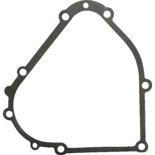 Crankcase gasket  694953 Briggs & Stratton