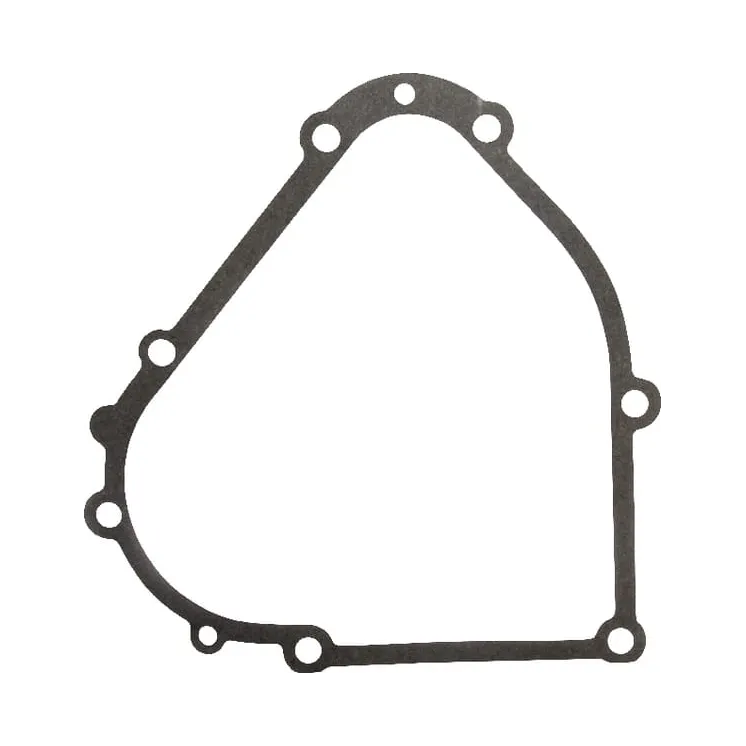 Crankcase gasket  694953 Briggs & Stratton