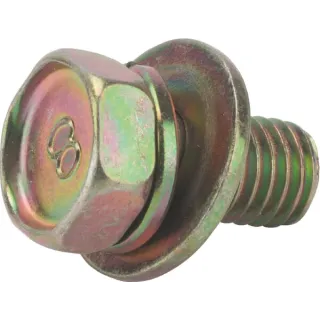 Screw  692056 Briggs & Stratton