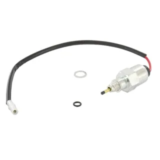 Solenoid fuel  692094 Briggs & Stratton