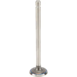 Exhaust valve  691796 Briggs & Stratton