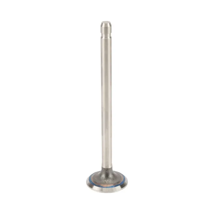 Exhaust valve  691796 Briggs & Stratton