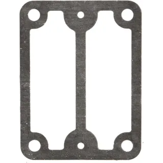 Carbide pump seal  693490 Briggs & Stratton
