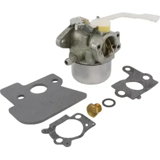 Carburettor  694203 Briggs & Stratton