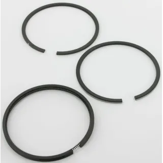 Piston ring set standard  690014 Briggs & Stratton 299743 36021R FGP010276