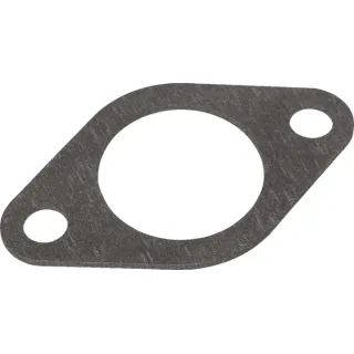 Ieplūdes blīve 691885 Briggs & Stratton