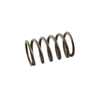 Valve spring  691605 Briggs & Stratton