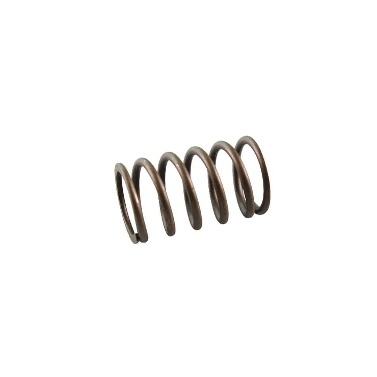 Valve spring  691605 Briggs & Stratton