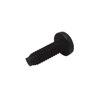 Screw  696255 Briggs & Stratton