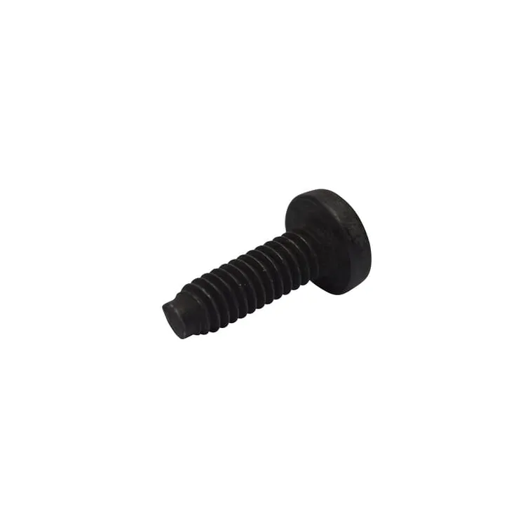 Screw  696255 Briggs & Stratton