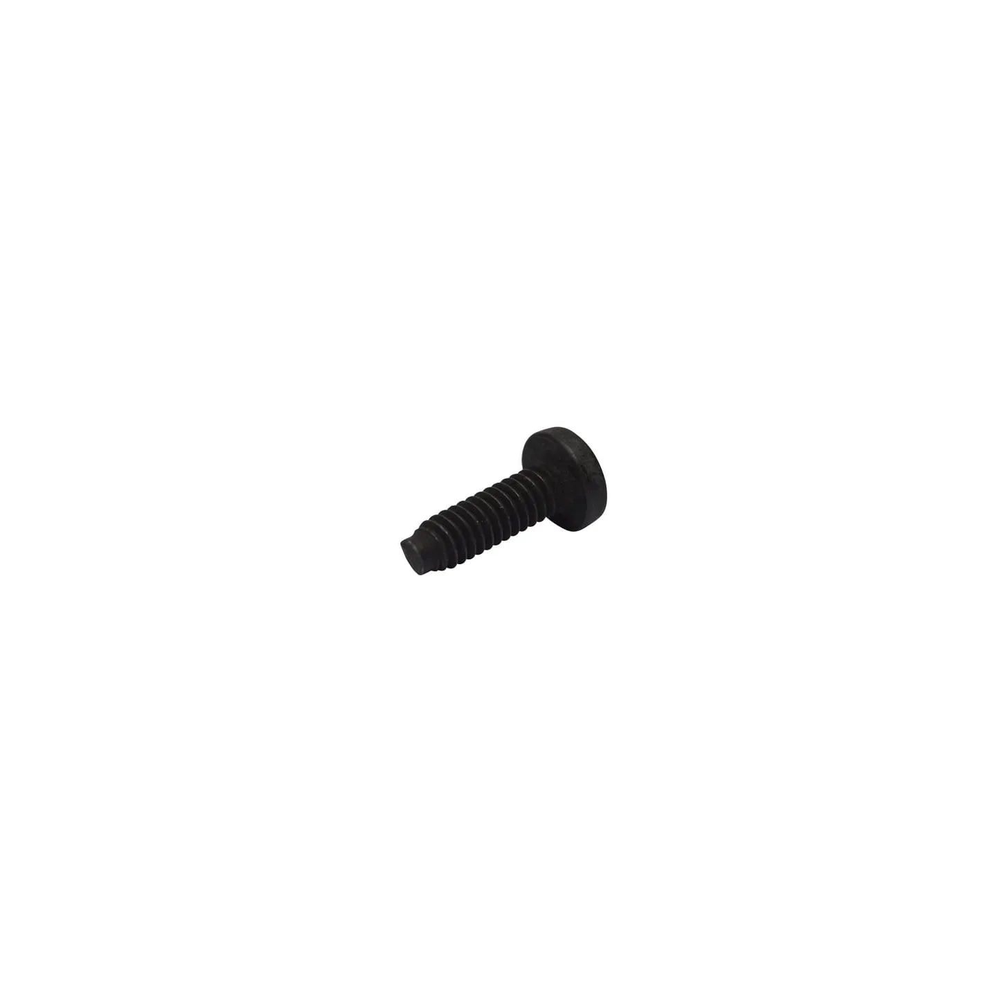 Screw  696255 Briggs & Stratton