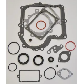 Gasket set  690189 Briggs & Stratton