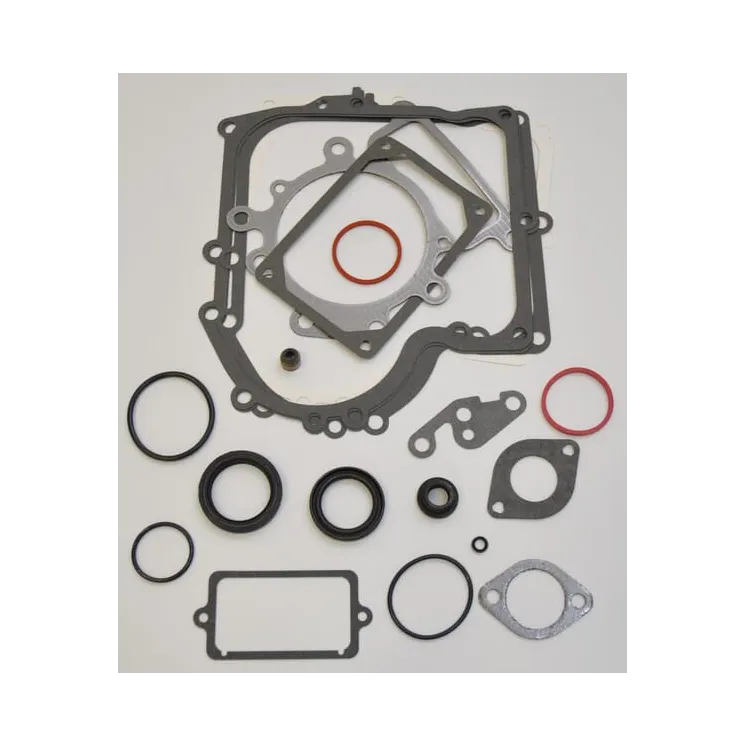 Gasket set  690189 Briggs & Stratton
