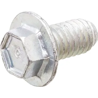 Screw  691678 Briggs & Stratton