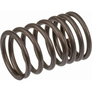 Vārsta atspere 690520 Briggs & Stratton 260552
