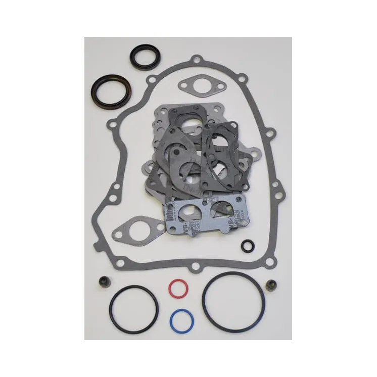 Blīvju komplekts 694012 Briggs & Stratton