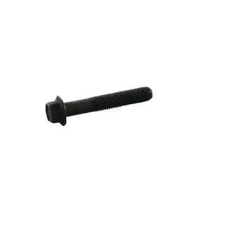 Bolt  695759 Briggs & Stratton