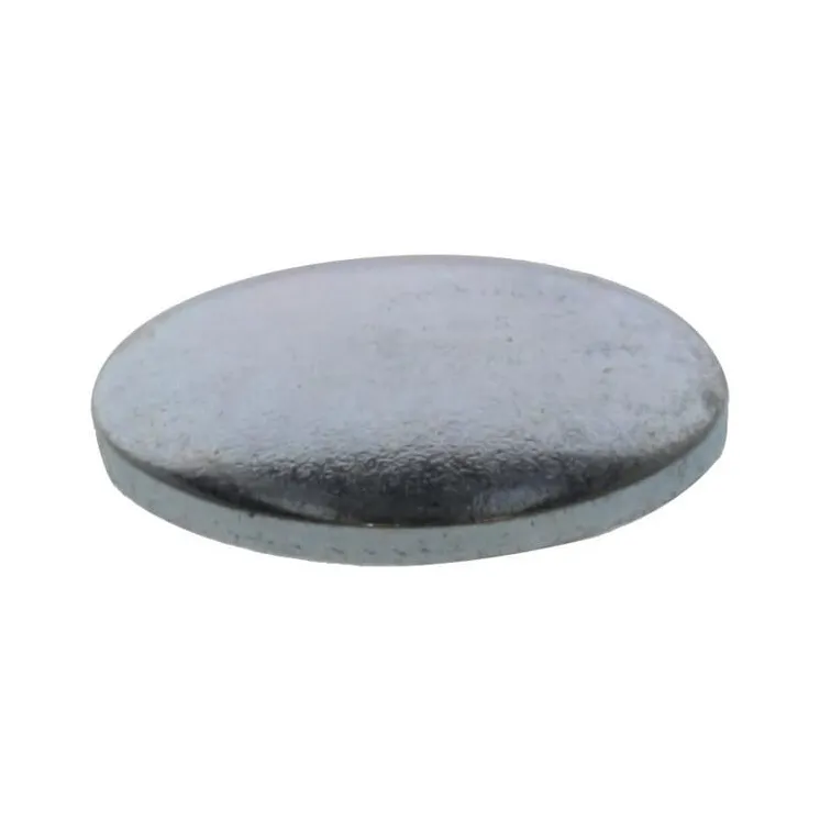 Welch plug  694468WM Briggs & Stratton