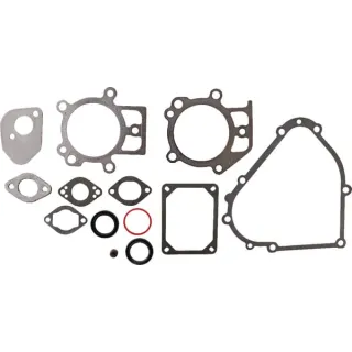 Gasket set  695438 Briggs & Stratton
