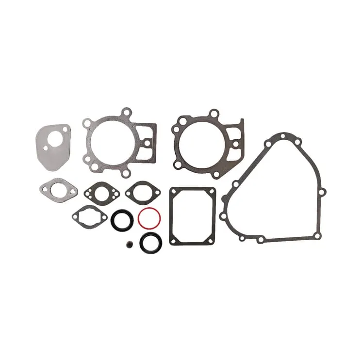 Gasket set  695438 Briggs & Stratton