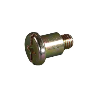 Skrūve 690876 Briggs & Stratton