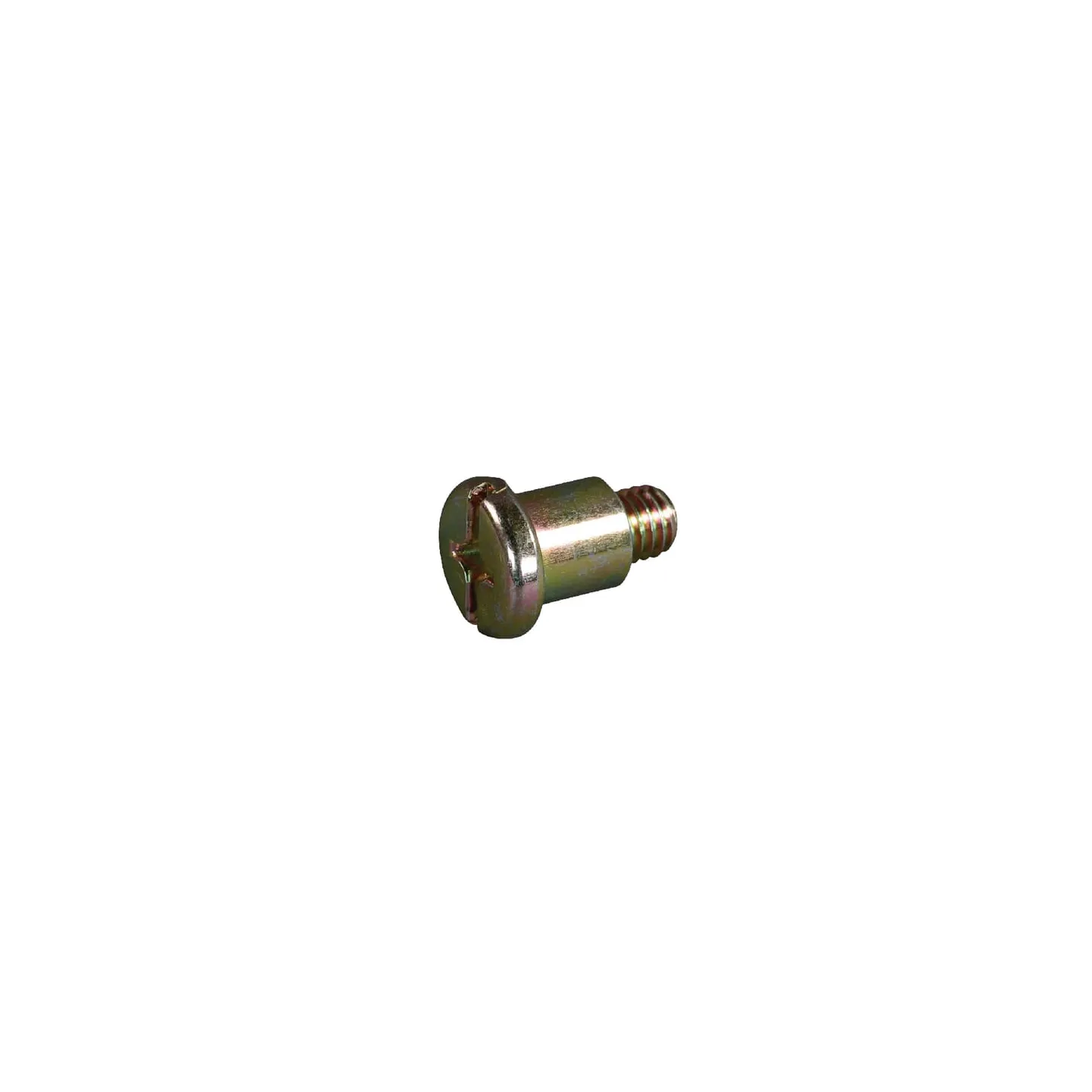 Bolt  690876 Briggs & Stratton
