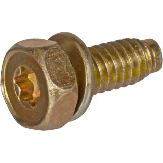 Screw  691665 Briggs & Stratton 695974