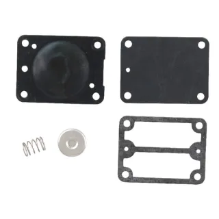 Fuel pump set  693502 Briggs & Stratton