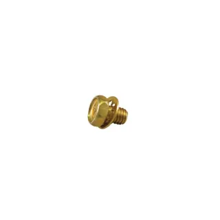 Skrūve 690837 Briggs & Stratton