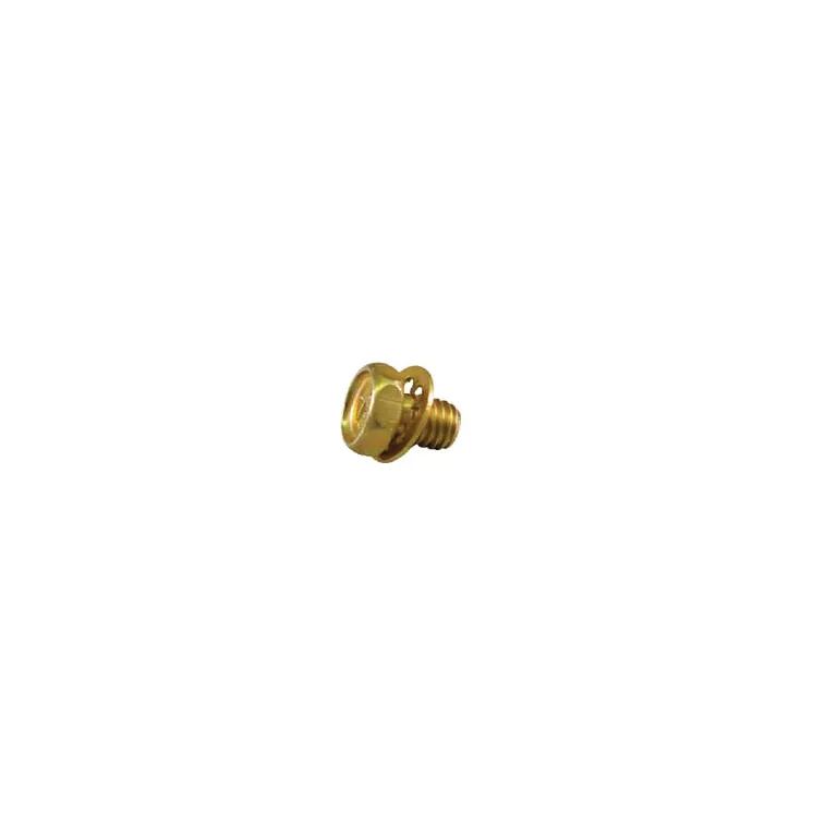 Skrūve 690837 Briggs & Stratton