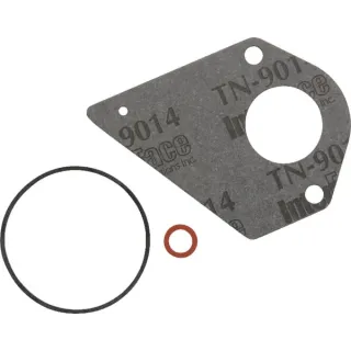 Karbīda blīvējumu komplekts 694931 Briggs & Stratton