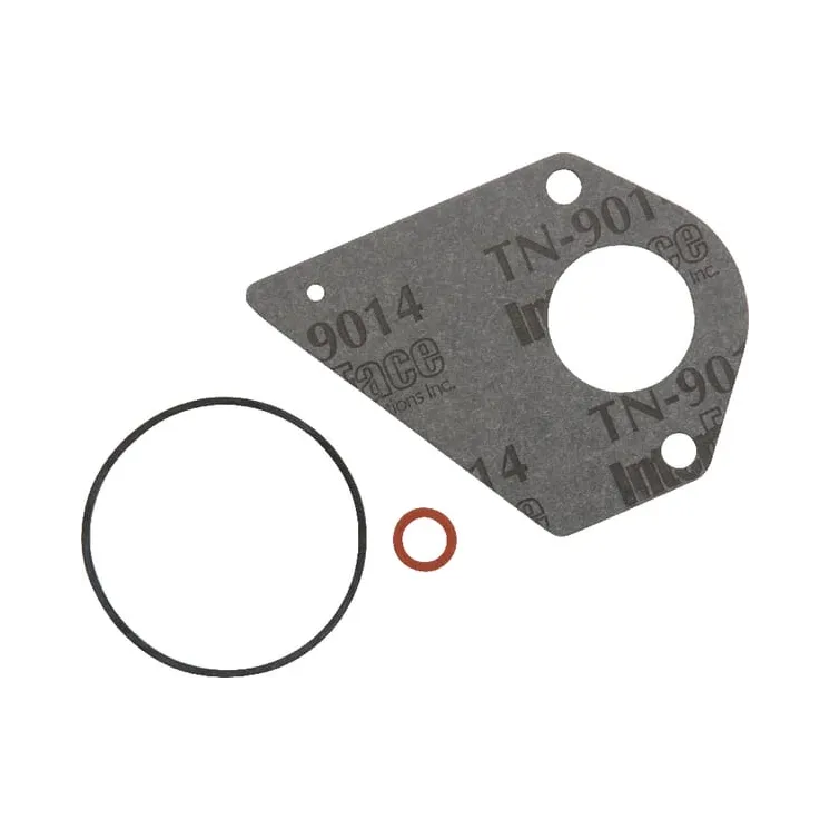 Karbīda blīvējumu komplekts 694931 Briggs & Stratton