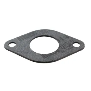 Ieplūdes blīve 690949 Briggs & Stratton