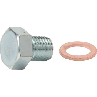 Bolt  691511 Briggs & Stratton