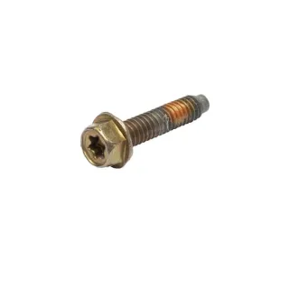 Screw  691689 Briggs & Stratton